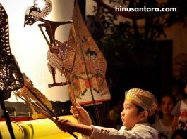 Jenis-Jenis Wayang Kulit Tradisional