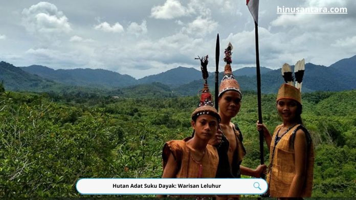 Hutan Adat Suku Dayak: Warisan Leluhur