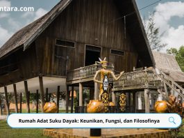 Rumah Adat Suku Dayak: Keunikan, Fungsi, dan Filosofinya