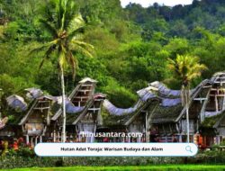 Hutan Adat Toraja: Warisan Budaya dan Alam