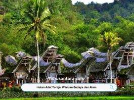 Hutan Adat Toraja: Warisan Budaya dan Alam