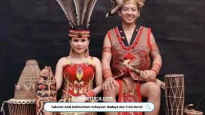 Pakaian Adat Kalimantan: Kekayaan Budaya dan Tradisional