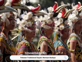 Pakaian Tradisional Dayak: Warisan Budaya