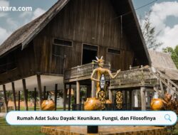 Rumah Adat Suku Dayak: Keunikan, Fungsi, dan Filosofinya