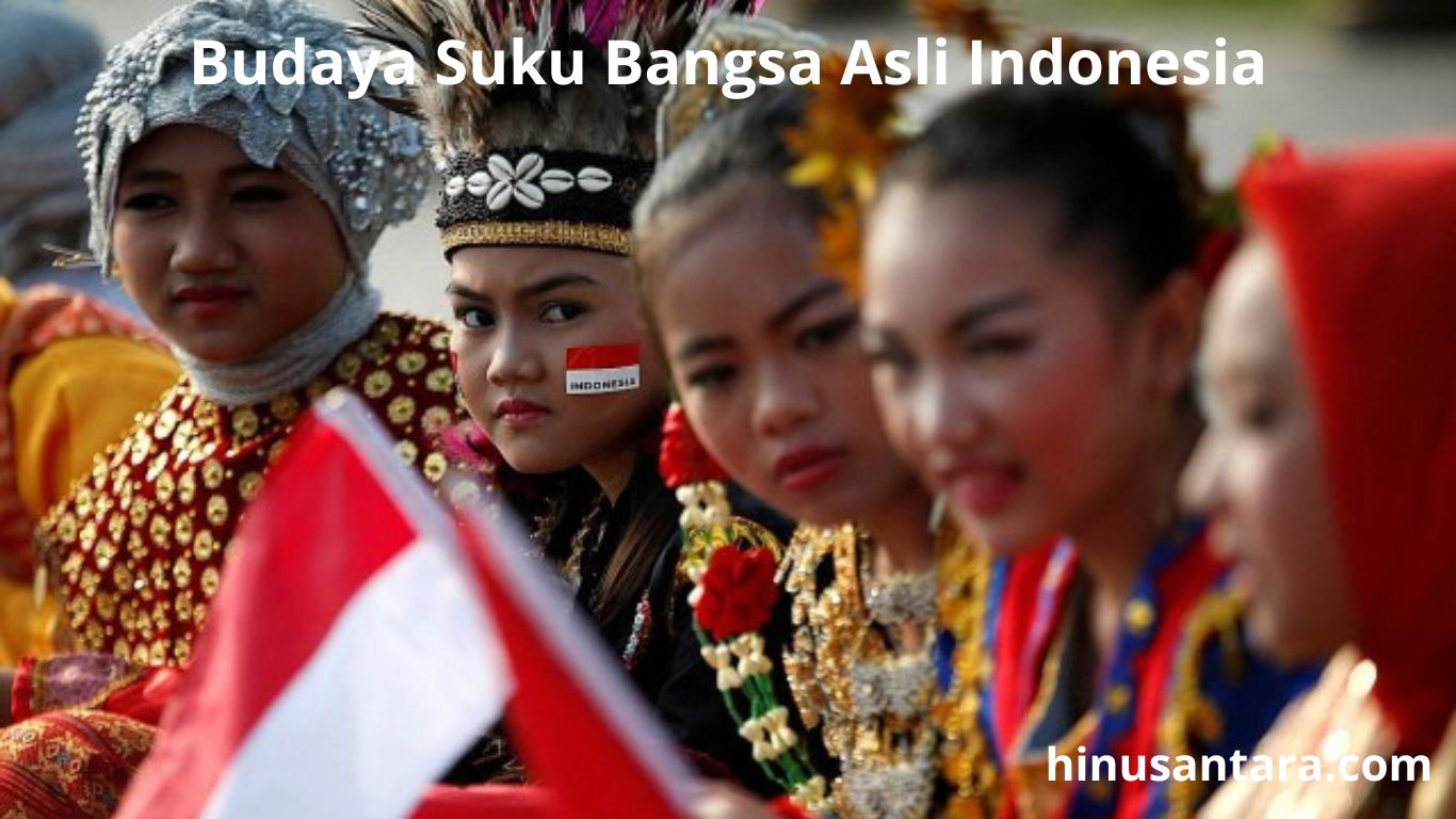 Budaya Suku Bangsa Asli Indonesia