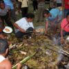 Tradisi Bakar Batu Ritual Penuh Makna dari Papua